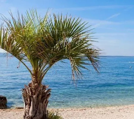 Апартаменти Viking *